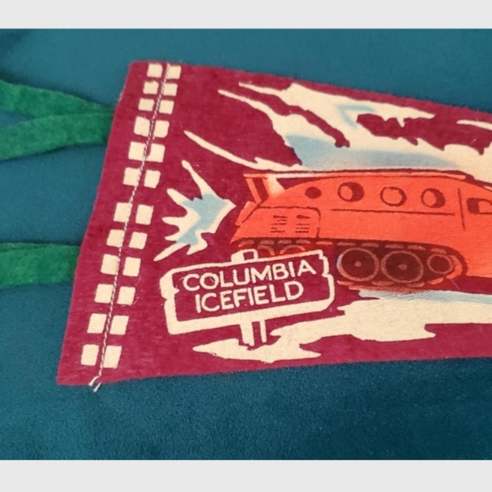 VINTAGE Souvenir/felt wall Pennant/ Snowmobile tours/Jasper Park